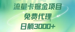 （12321期）流量卡掘金代理，日躺赚3000+，变现暴力，多种推广途径-网创项目
