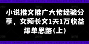 小说推文推广大佬经验分享，女频长文1天1万收益爆单思路(上)-网创项目
