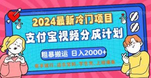 (12407期)2024最新冷门项目!支付宝视频分成计划,直接粗暴搬运,日入2000+,有…-网创项目