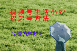 视频号生活小妙招分享赛道, 起号涨粉新方法,日涨100粉-网创项目