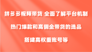 拼多多视频带货 全面了解平台机制、热门爆款和高佣金带货的选品,搭建高权重账号等-网创项目