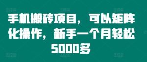 手机搬砖项目，可以矩阵化操作，新手一个月轻松5000多-网创项目