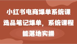 小红书电商爆单系统课-选品笔记爆单,系统课程,能落地实操-网创项目