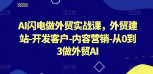 AI闪电做外贸实战课,外贸建站-开发客户-内容营销-从0到3做外贸AI(更新)-网创项目