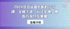 2024多多运营必听的12节课,全程干货,玩法实操,爆款方案尽在掌握-网创项目