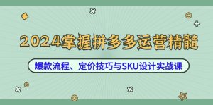 2024掌握拼多多运营精髓：爆款流程、定价技巧与SKU设计实战课-网创项目