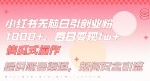 小红书无脑每日引流创业粉500+，小白每天只花半小时，躺赚长尾收益【揭秘】-网创项目