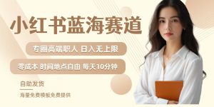 小红书蓝海赛道，圈中高端职场人，月入无上限，可矩阵，内含私域实操教程!-网创项目