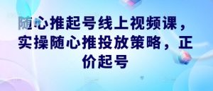 随心推起号线上视频课，实操随心推投放策略，正价起号-网创项目