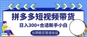拼多多短视频带货日入300+，实操账户展示看就能学会-网创项目