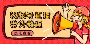 视频号直播带货教程：选品思路与话术拆解/掌握多种带货套路/提升直播效果-网创项目