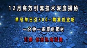 最新高效引流技术深度揭秘 ，单号单日引300+精准创业粉，一分钟一条原创素材，引爆你的私域流量-网创项目