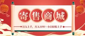 一部手机,一天几分钟,小白轻松日入上千,月入10万+,纯信息项目-网创项目