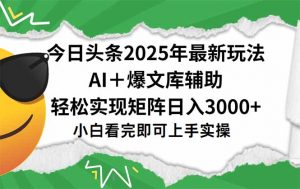 今日头条2025年最新玩法，一键生成爆款，轻松实现矩阵日入3000+-网创项目