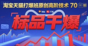 淘宝天猫打爆班原创高阶技术第70期：标品干爆-网创项目