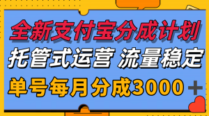 全新支付宝分成代运营,独家技术,收益稳定,单号月入3000+-网创项目