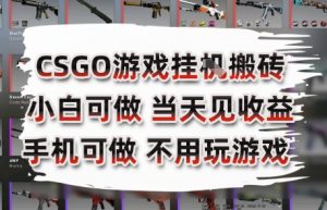 CSGO游戏挂G搬砖，小白纯手机即可操作，不用电脑打游戏，日入3张+，副业网创项目【揭秘】-网创项目