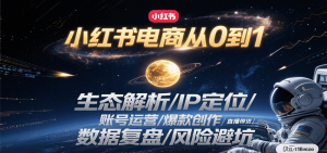 小红书电商从0到1：生态解析/IP定位/ 账号运营/爆款创作/直播带货/数据复盘/风险避坑-网创项目
