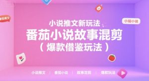 小说推文新玩法，番茄小说故事混剪(爆款借鉴玩法)-网创项目