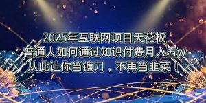 2025年互联网项目天花板，普通人如何通过卖项目实现逆风翻盘，月入5W＋！-网创项目