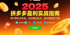 拼多多盈利实战指南，强付费玩法，活动爆流技术，微付费破局方案(更新7月-网创项目