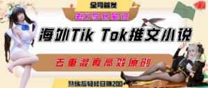 海外tiktok小说推文暴力项目，高停留率，高转化率，上手后一天搞顿饭钱不是问题-网创项目