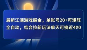 最新江湖游戏掘金,单账号20+可矩阵全自动 ,结合拉新玩法单天可搞4张+【揭秘】-网创项目
