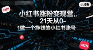 小红书涨粉变现营，21天从0-1做一个挣钱的小红书账号-网创项目
