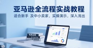 亚马逊全流程实战教程，适合新手及中小卖家，实操演示，深入浅出-网创项目