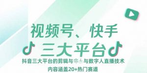 视频号、快手、抖音三大平台的剪辑与数字人直播技术,内容涵盖20+热门赛道-网创项目