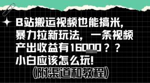 b站掘金计划？搬运视频也能挣拉新的收益，小白应该怎么玩！-网创项目