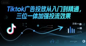 Tiktok广告投放从入门到精通，三位一体加强投流效果-网创项目