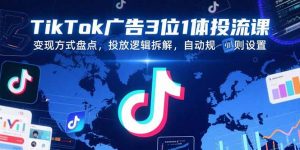 TikTok广告3位1体投流课，变现方式盘点，投放逻辑拆解，自动规则设置-网创项目