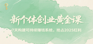 新个体创业黄金课，7天构建可持续赚钱系统，抢占2025红利-网创项目