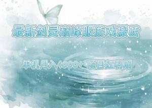 最新剑灵巅峰服游戏搬砖，项目红利期，单机稳定4000+操作简单好上手-网创项目