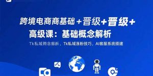 跨境电商基础+晋级+高级课：基础概念解析,Tk私域涨粉技巧,AI客服系统搭建-网创项目