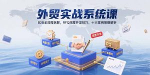 外贸实战系统课：B2B全流程拆解，RFQ深度开发技巧，十大案例策略解析-网创项目
