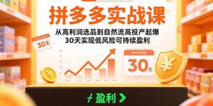拼多多实战课：从高利润选品到自然流高投产起爆 30天实现低风险可持续盈利-网创项目