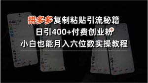 拼多多复制粘贴引流秘籍，日引400+付费创业粉，小白也能月入六位数实操…-网创项目