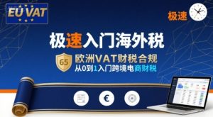 极速入门海外税，欧洲VAT财税合规，从0到1入门跨境电商财税-网创项目
