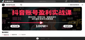 抖音账号盈利实战课,定位对标、标签打造、破播放技巧,讲涨粉变现与场景搭建-网创项目