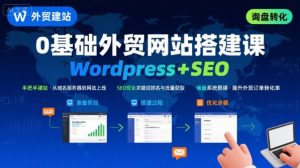 WordPress外贸建站+SEO优化课程，手把手教你从0到1搭建可获得询盘的外贸网站-网创项目