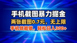 手机截图暴力掘金,两张截图0.7米,一部手机就能做,轻松日入3张+【揭秘】-网创项目