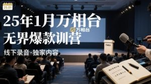 25年1月万相台无界爆款特训营线下录音-网创项目
