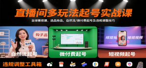 直播间多玩法起号实战课:含绿幕搭建、选品排品,自然流/微付费起号及违规调整技巧-网创项目