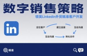 数字销售策略领英LinkedIn外贸精准客户开发-网创项目