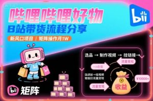 哔哩哔哩好物，B站带货流程分享，新风口项目，矩阵操作月1W-网创项目