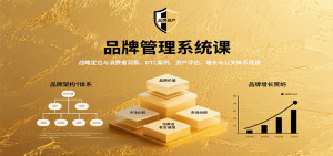 品牌管理系统课：战略定位与消费者洞察，DTC案例、资产评估，增长与公关体系搭建-网创项目