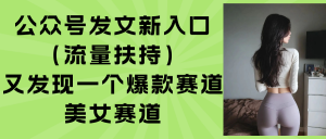 公众号发文新入口(流量扶持-网创项目