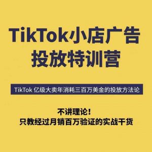 TikTok小店广告投放特训营，6天破局计划专治各种“投不动”，教你经过月销百万验证的实战干货-网创项目